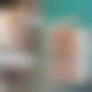 Daiktadėžė su dangčiu - paruošta per 2 minutes, nereikia įrankių | ORGABOX