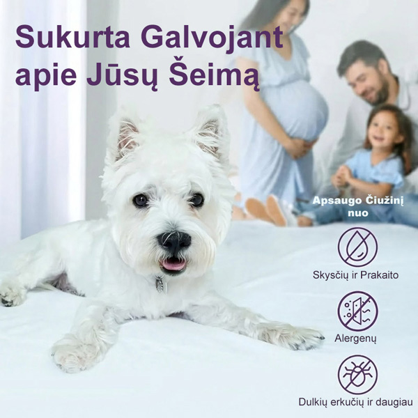 CLOUDREAM-3831127613059-LT-5__311225